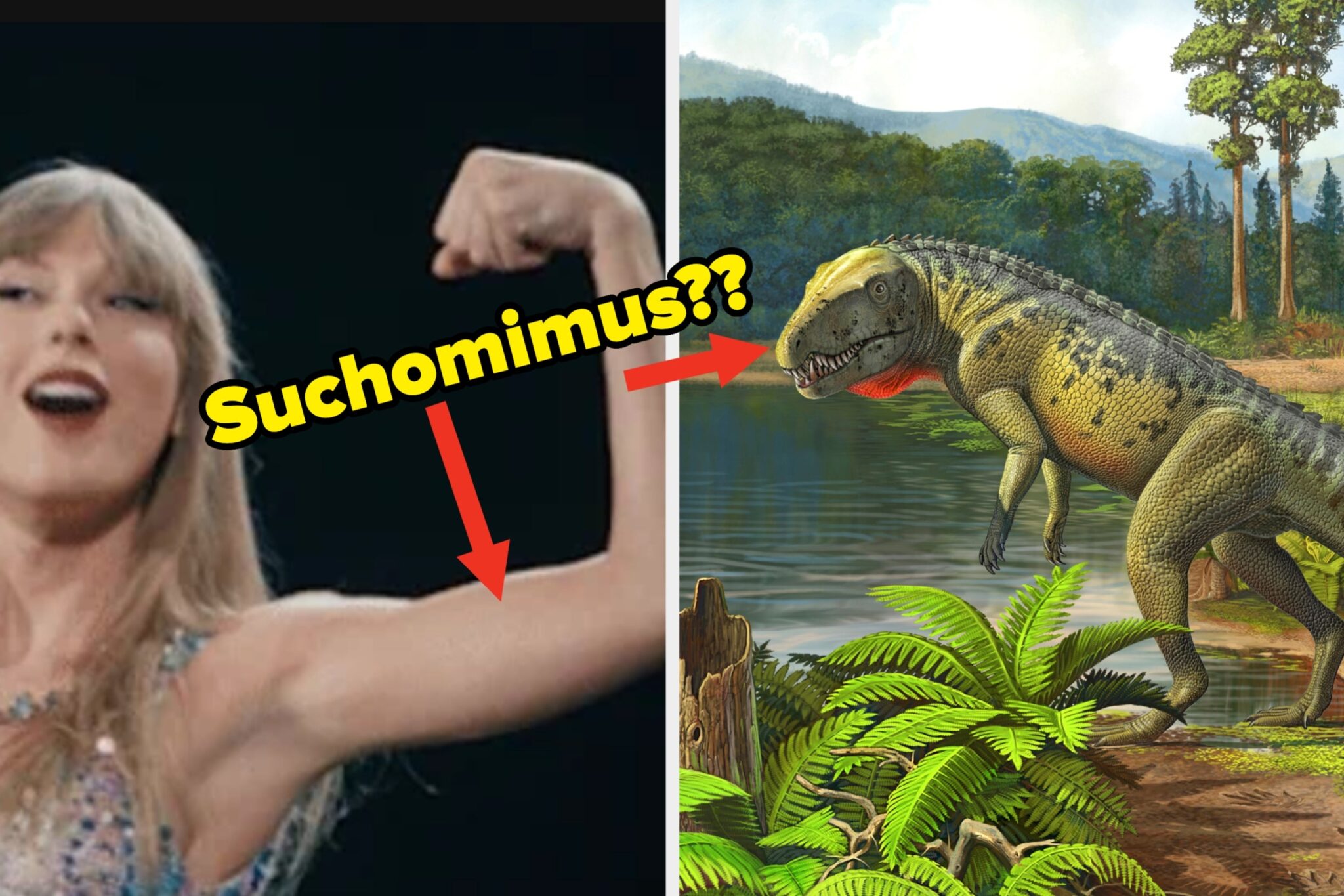 Science Quiz Challenges Participants to Differentiate Dinosaur Names ...